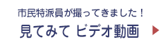 第３４回宇治川マラソン　見てみてビデオ動画